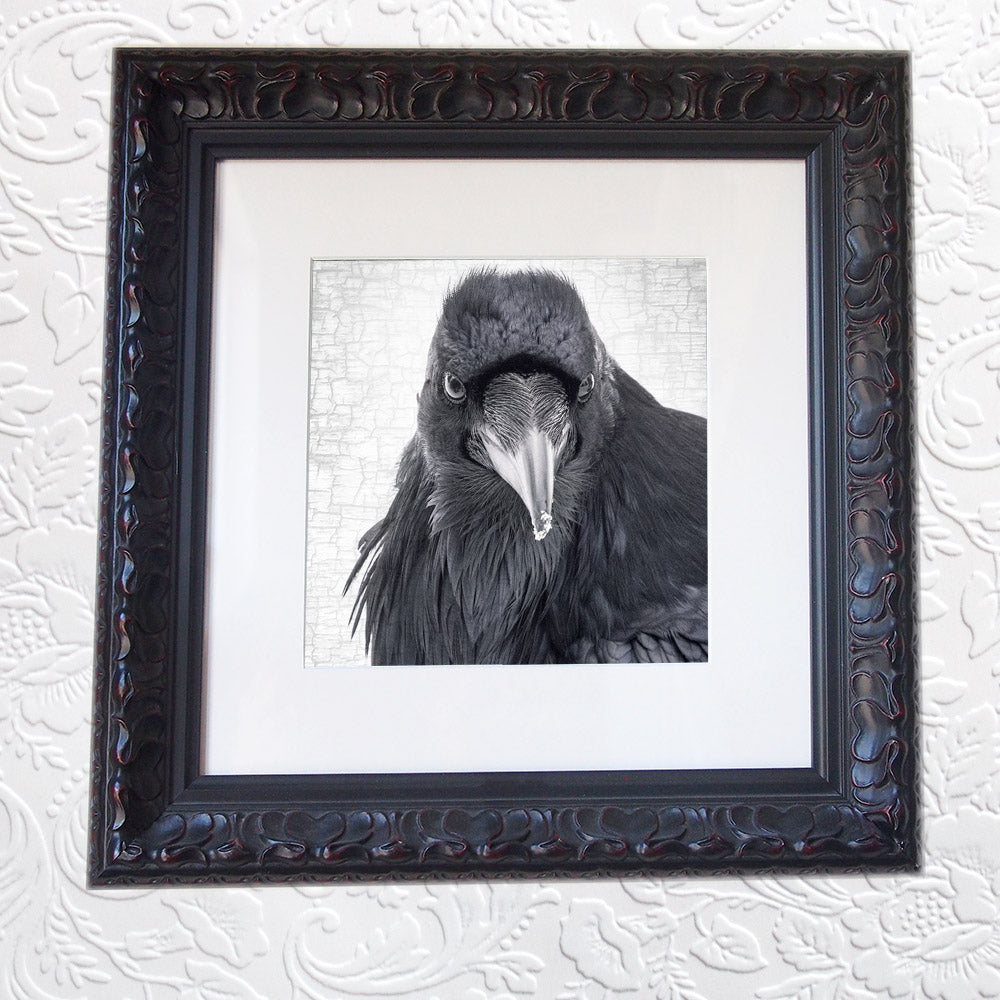 Raven Print - Framed
