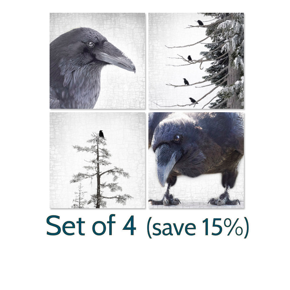 NEVERMORE - Fine Art Print, Raven Portrait Series