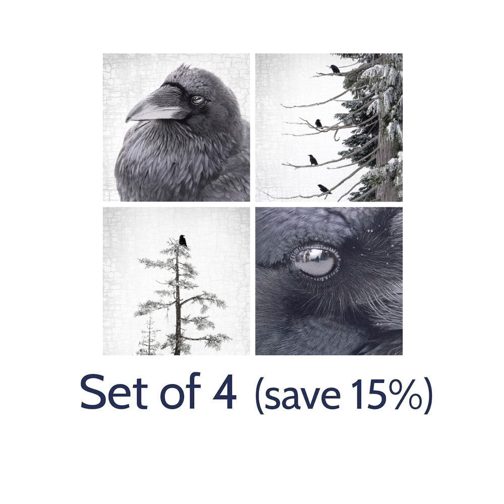RAVEN GAMES - Fine Art Print, Raven Portrait Series