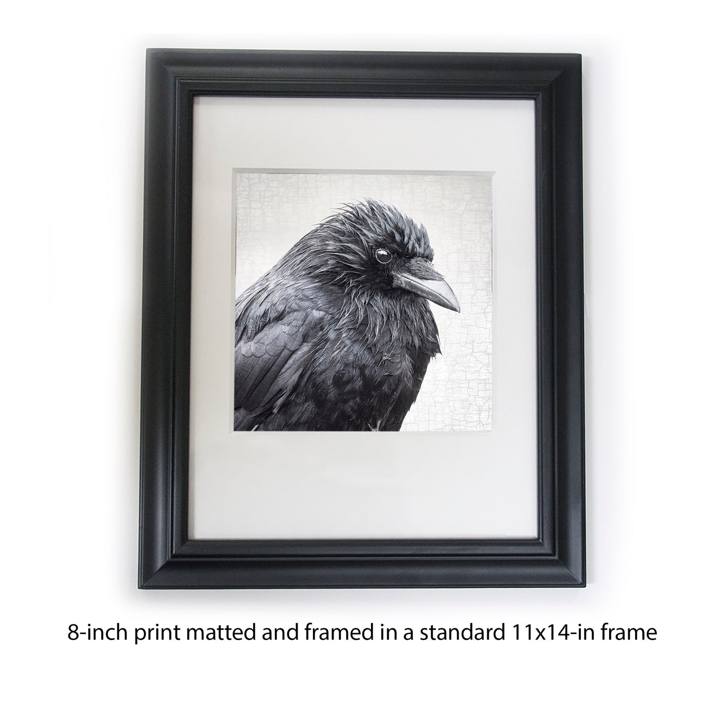 SPRING SHOWERS - Fine Art Print, Crow Portrait Series