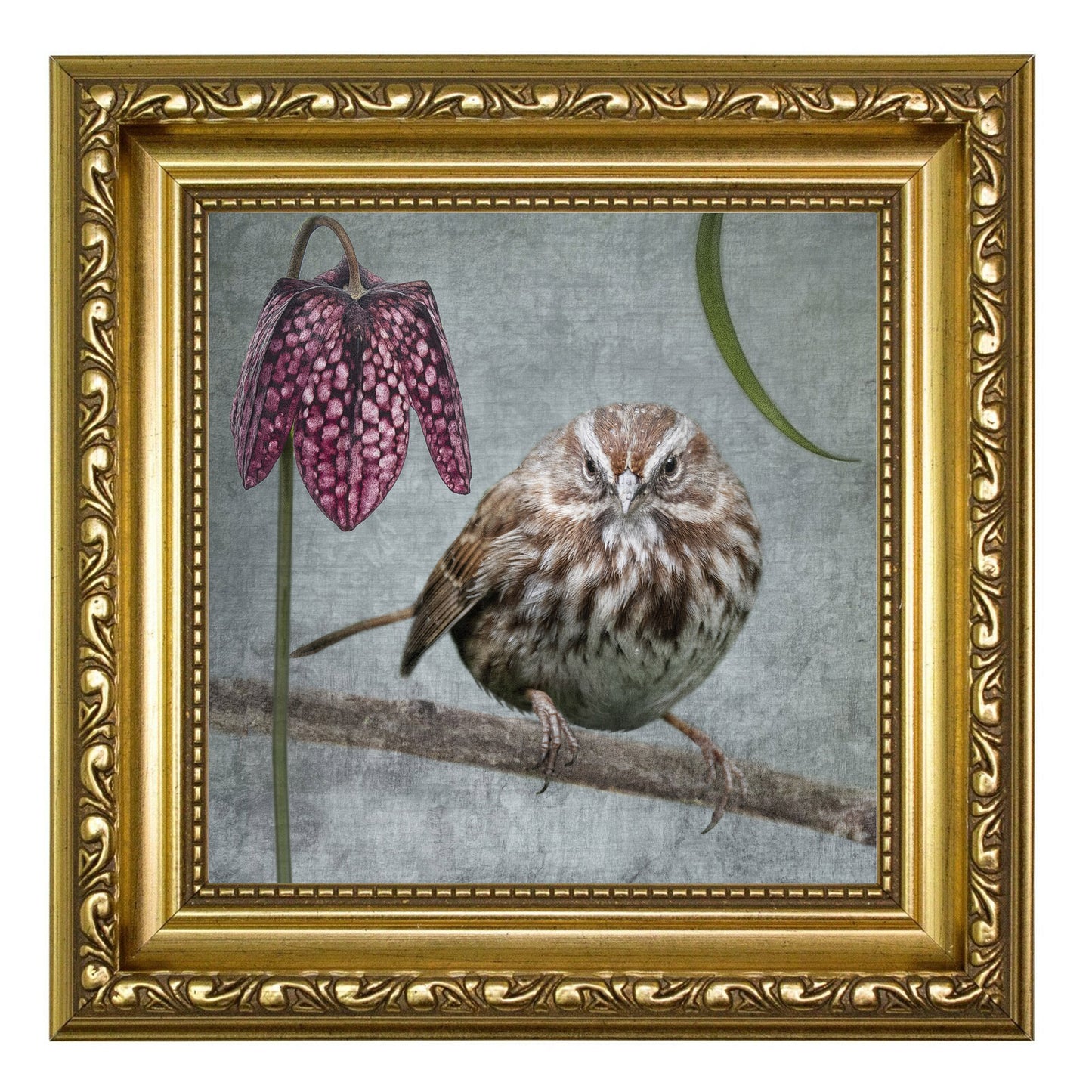 SONG SPARROW WITH FRITILLARIA - Fine Art Print, Garden Birds Series