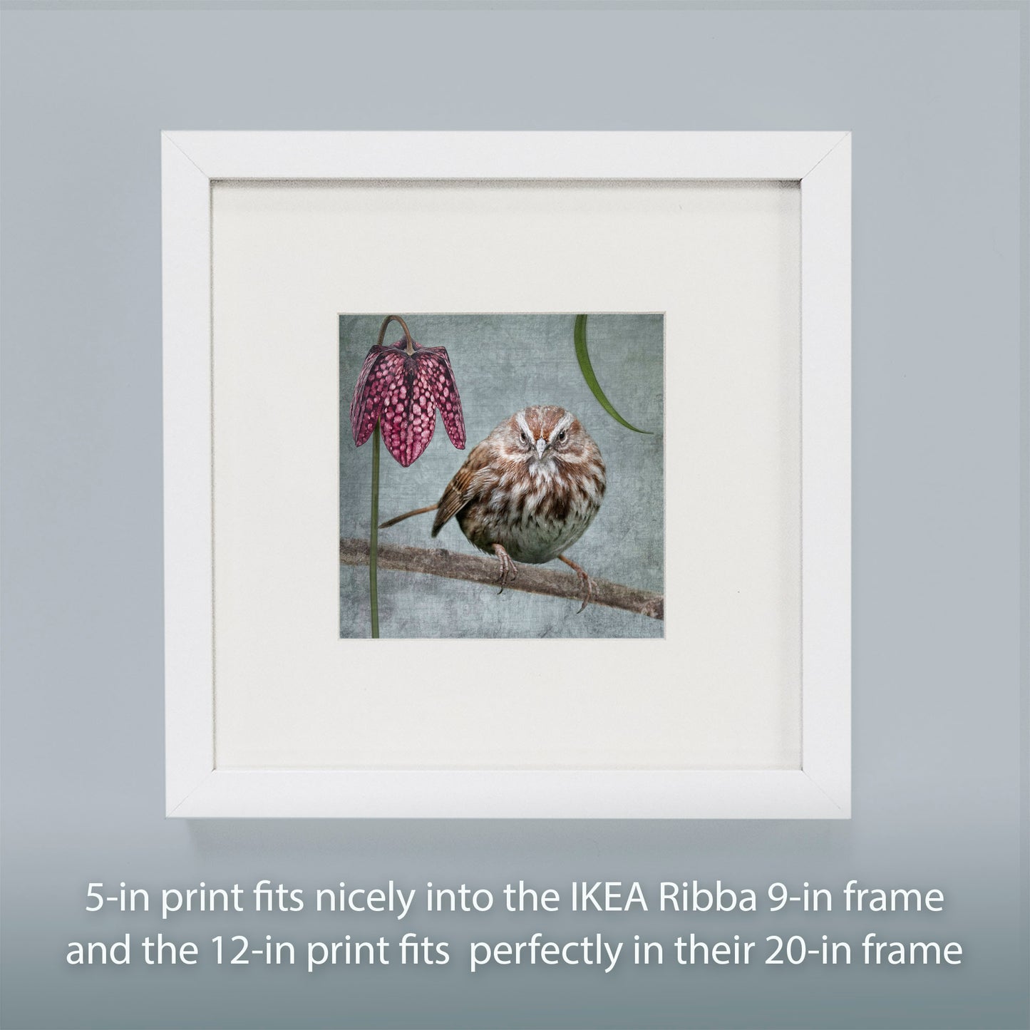 SONG SPARROW WITH FRITILLARIA - Fine Art Print, Garden Birds Series