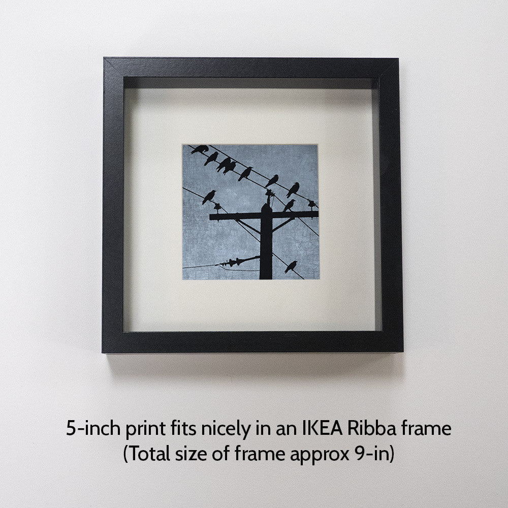 STOPOVER - Fine Art Print, Blue Crow Series