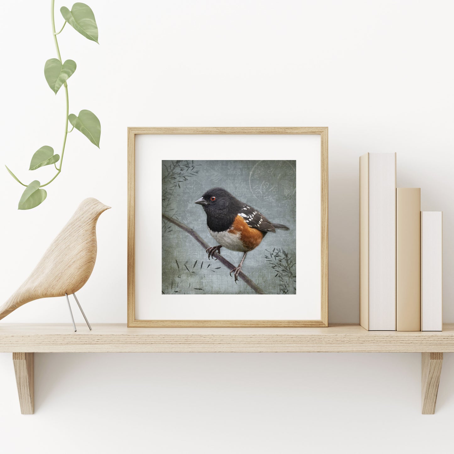 SPOTTED TOWHEE - Fine Art Print, Garden Birds Series