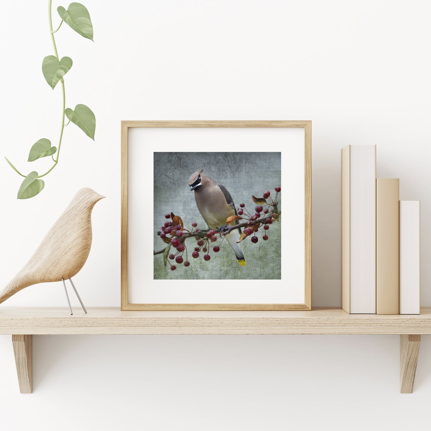 CEDAR WAXWING - Fine Art Print, Garden Birds Series