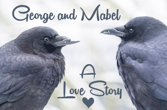 George and Mabel – A Love Story