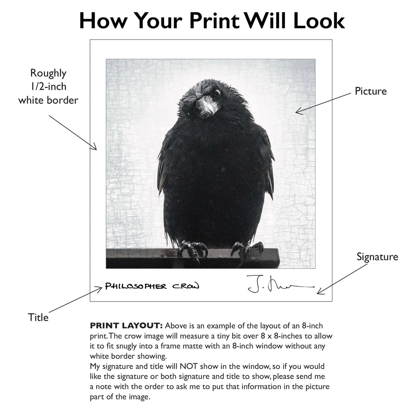 STRATEGIST CROW - Fine Art Print, Crow Portrait Series