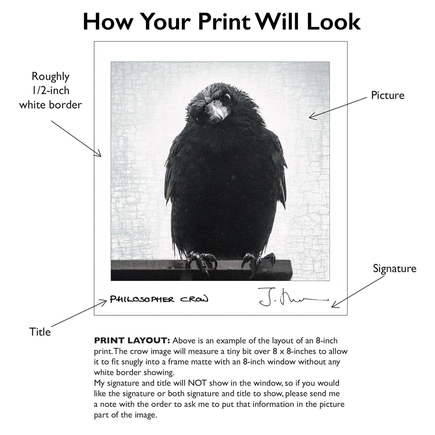 HERE COMES THE SUN - Fine Art Print, Raven Portrait Series