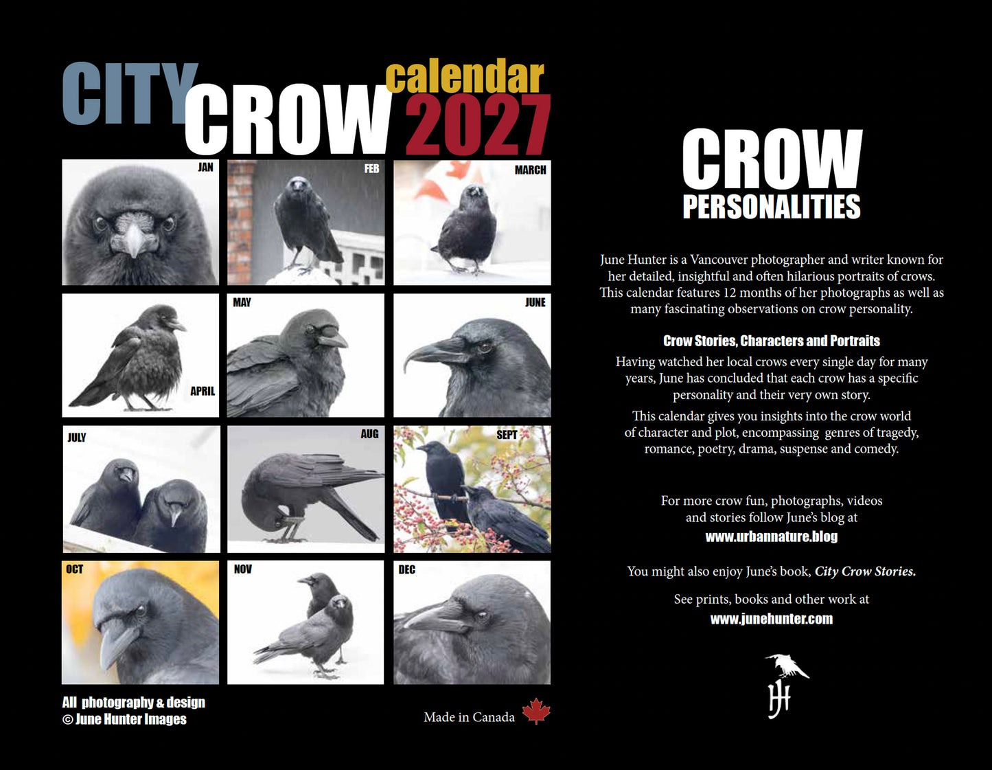 CITY CROW CALENDAR 2027 — Wall Calendar