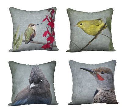 ORANGE CROWNED WARBLER — Bird Cushion Cover — SALE