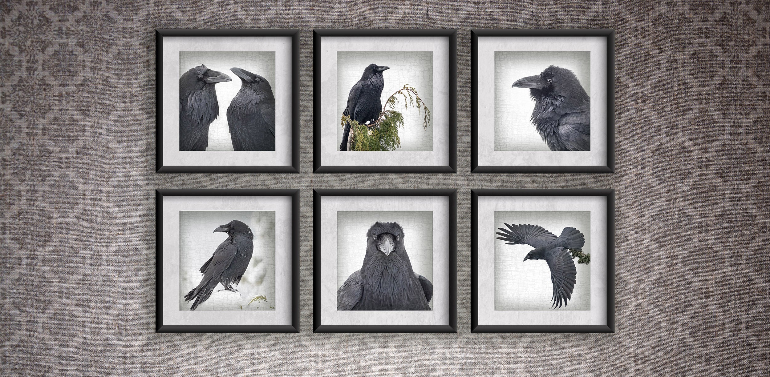 6 Raven Prints - Gallery Wall