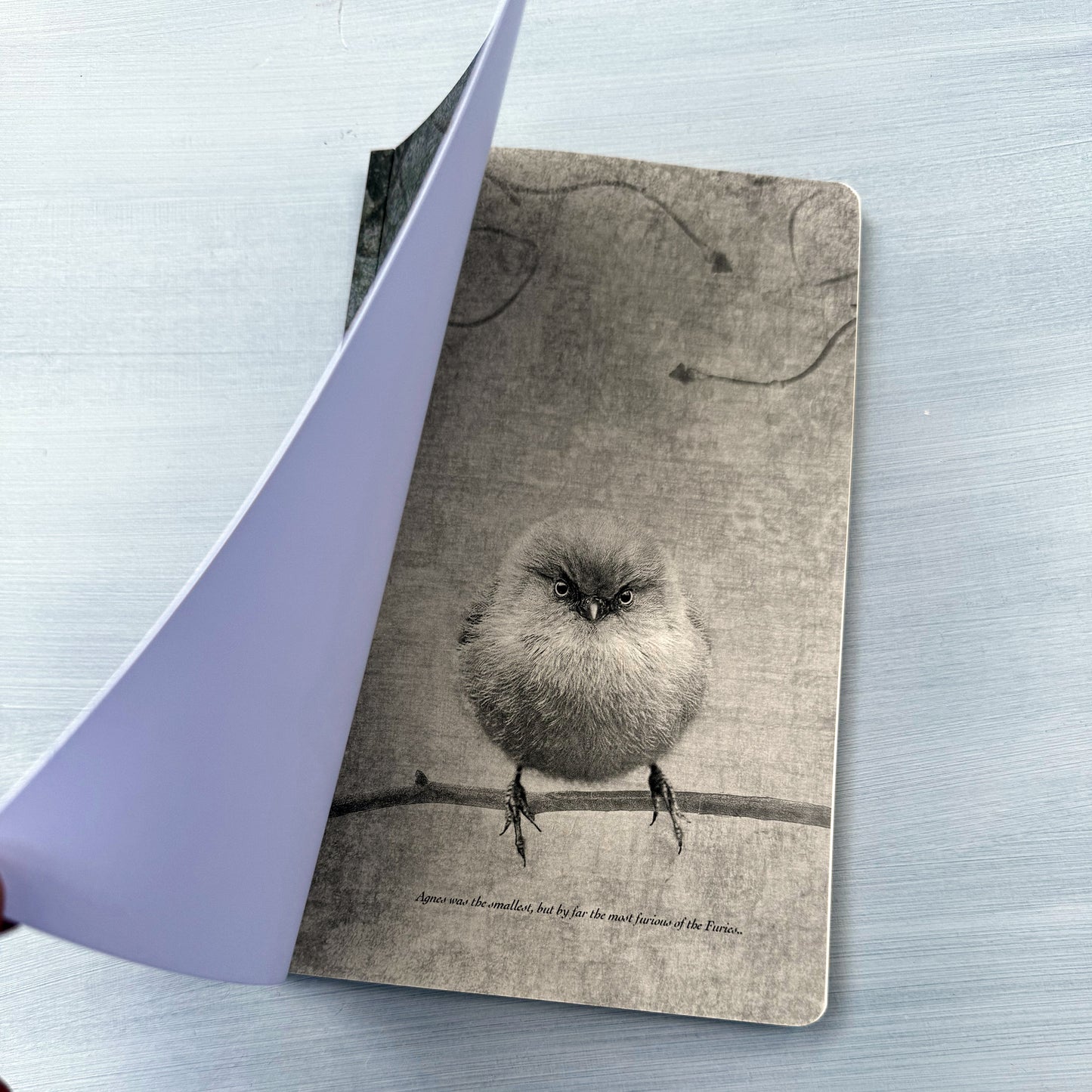 SMALL BUT DETERMINED - Small Notebook by June Hunter