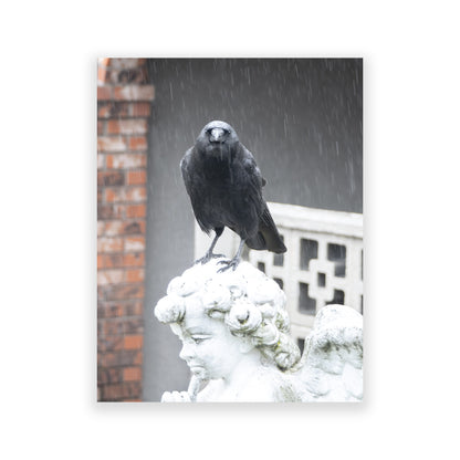 Set of 12 CROW CHARACTERS Postcards by June Hunter