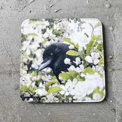 APPLE BLOSSOM CROW — Coaster