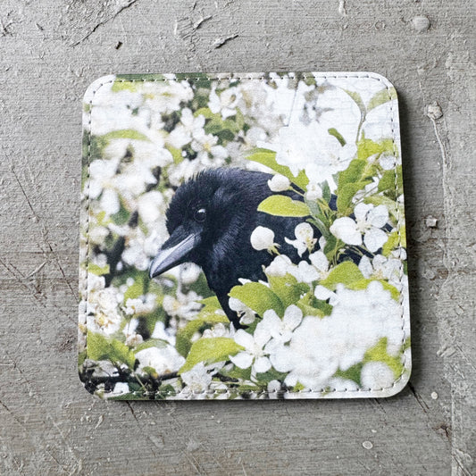 APPLE BLOSSOM CROW — Coaster