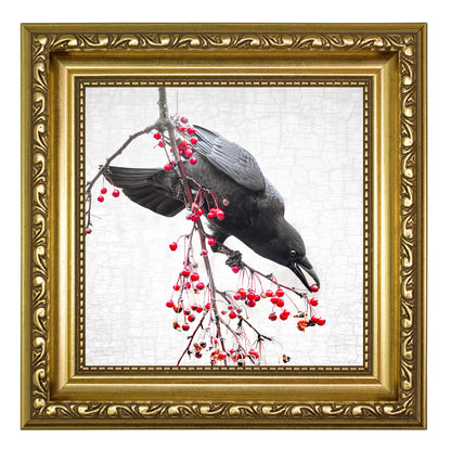 PRECISION - Fine Art Print, Crow Portrait Series