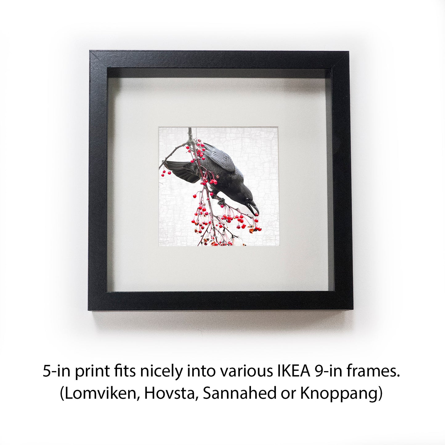 PRECISION - Fine Art Print, Crow Portrait Series