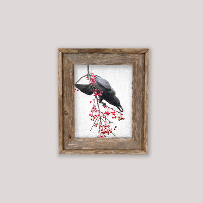 PRECISION - Fine Art Print, Crow Portrait Series