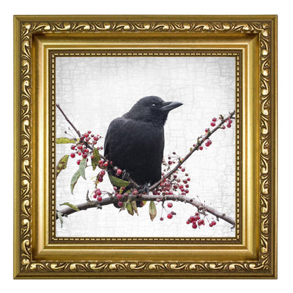 BERRY CROW - Fine Art Print, Crow Portrait Series
