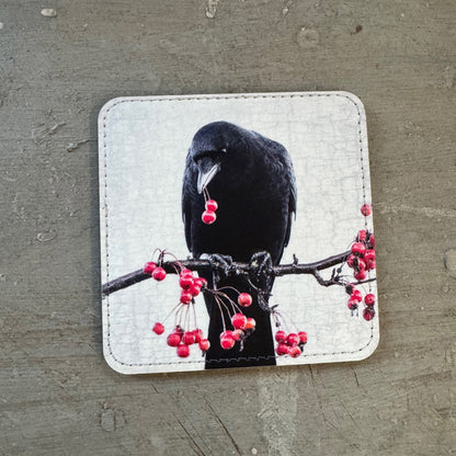 BERRY FEAST CROW — Coaster