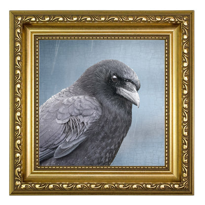 BLUE EARL - Fine Art Print, Crow Portrait Series