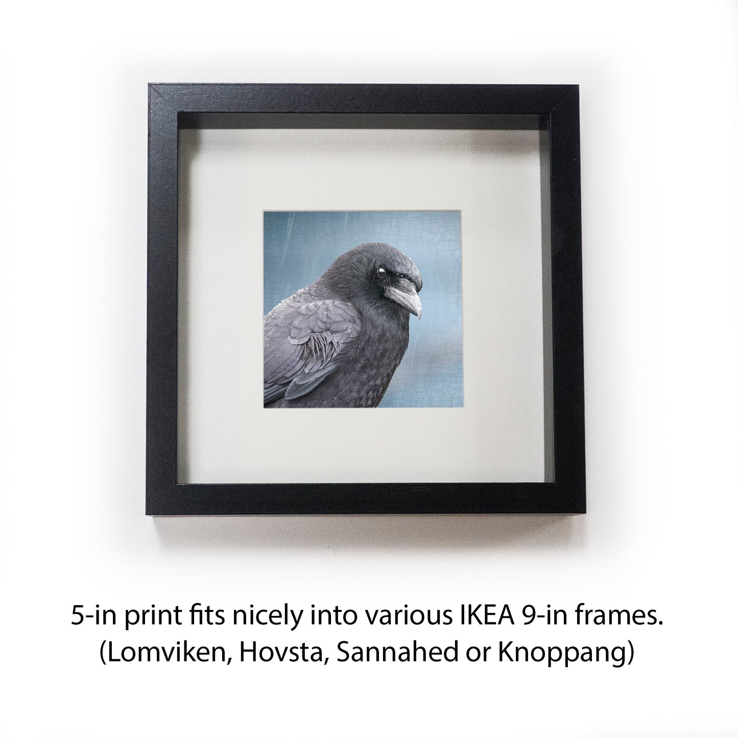 BLUE EARL - Fine Art Print, Crow Portrait Series