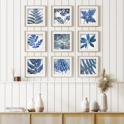 BLUE GHOST FERN - Fine Art Print, Botanical Blueprint