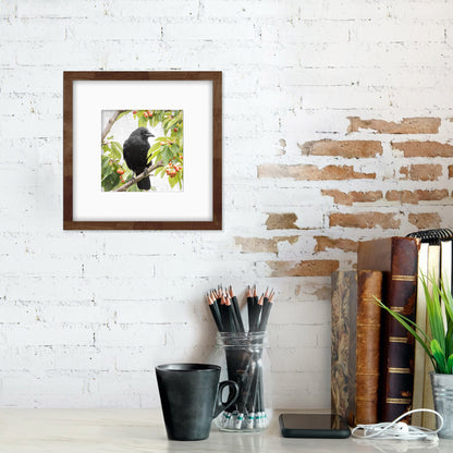 CHERRY CROW - Fine Art Print, Crow Portrait Series