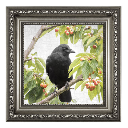 CHERRY CROW - Fine Art Print, Crow Portrait Series