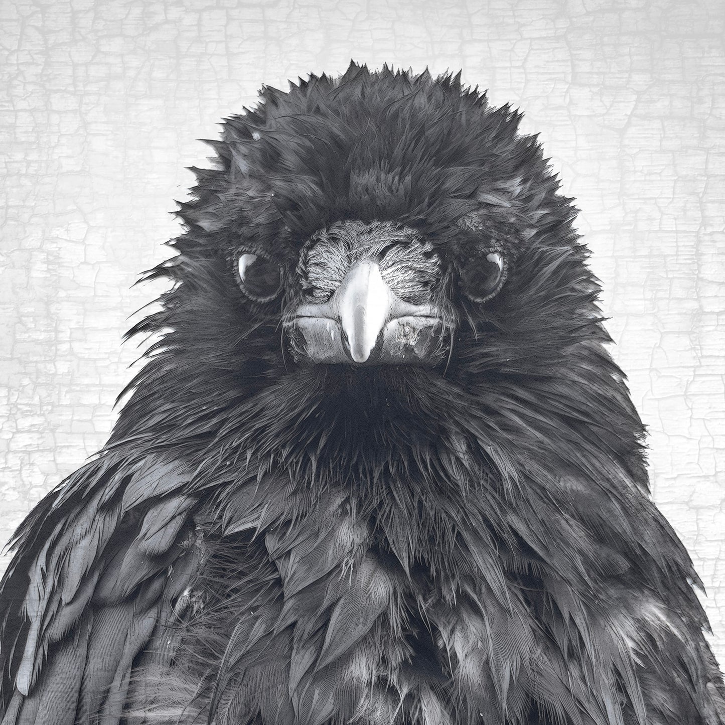 CRITICAL THINKER - Fine Art Print, Crow Portrait Series