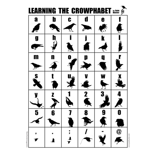 LEARNING THE CROWPHABET — Black and White Poster - SALE