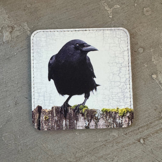 MOSSY FENCE CROW — Coaster