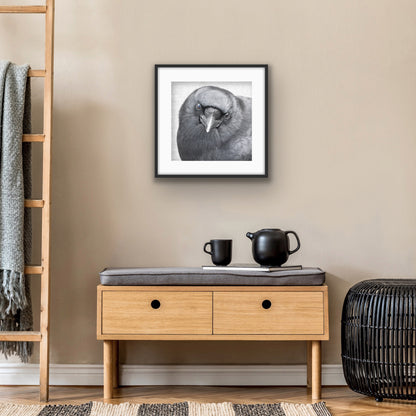 FEARLESS FRED - Fine Art Print, Crow Portrait Series