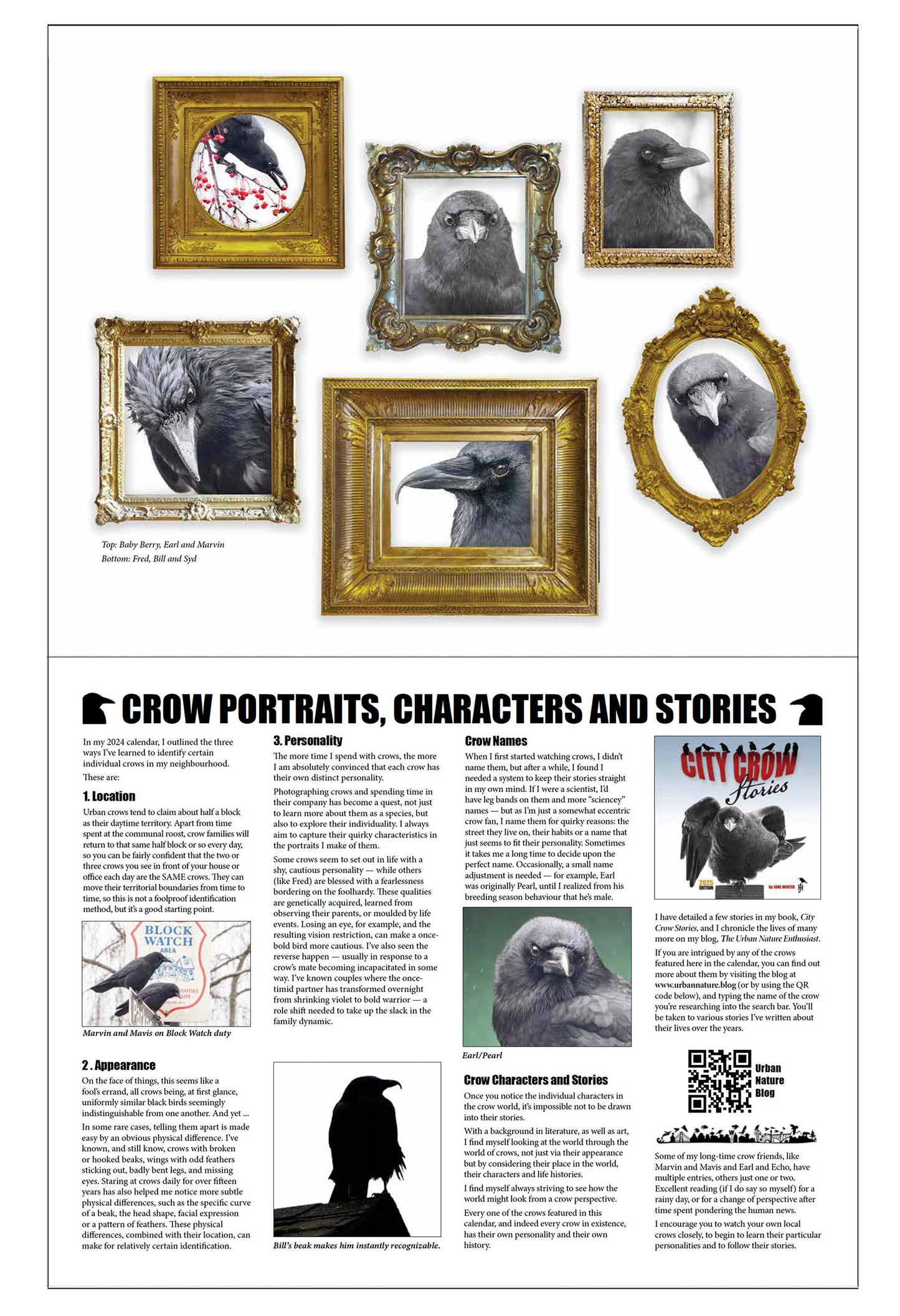 CROW CHARACTERS - Calendar and Postcard Bundle