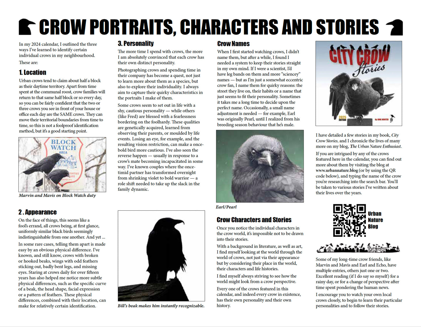 CITY CROW CALENDAR 2027 — Wall Calendar