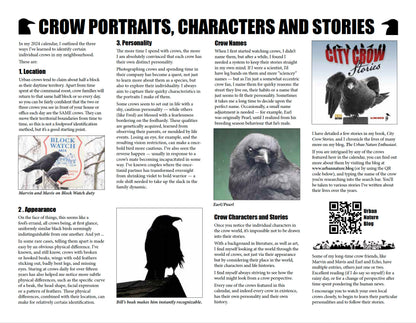 CITY CROW CALENDAR 2027 — Wall Calendar