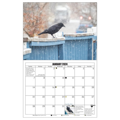 City Crow Calendar