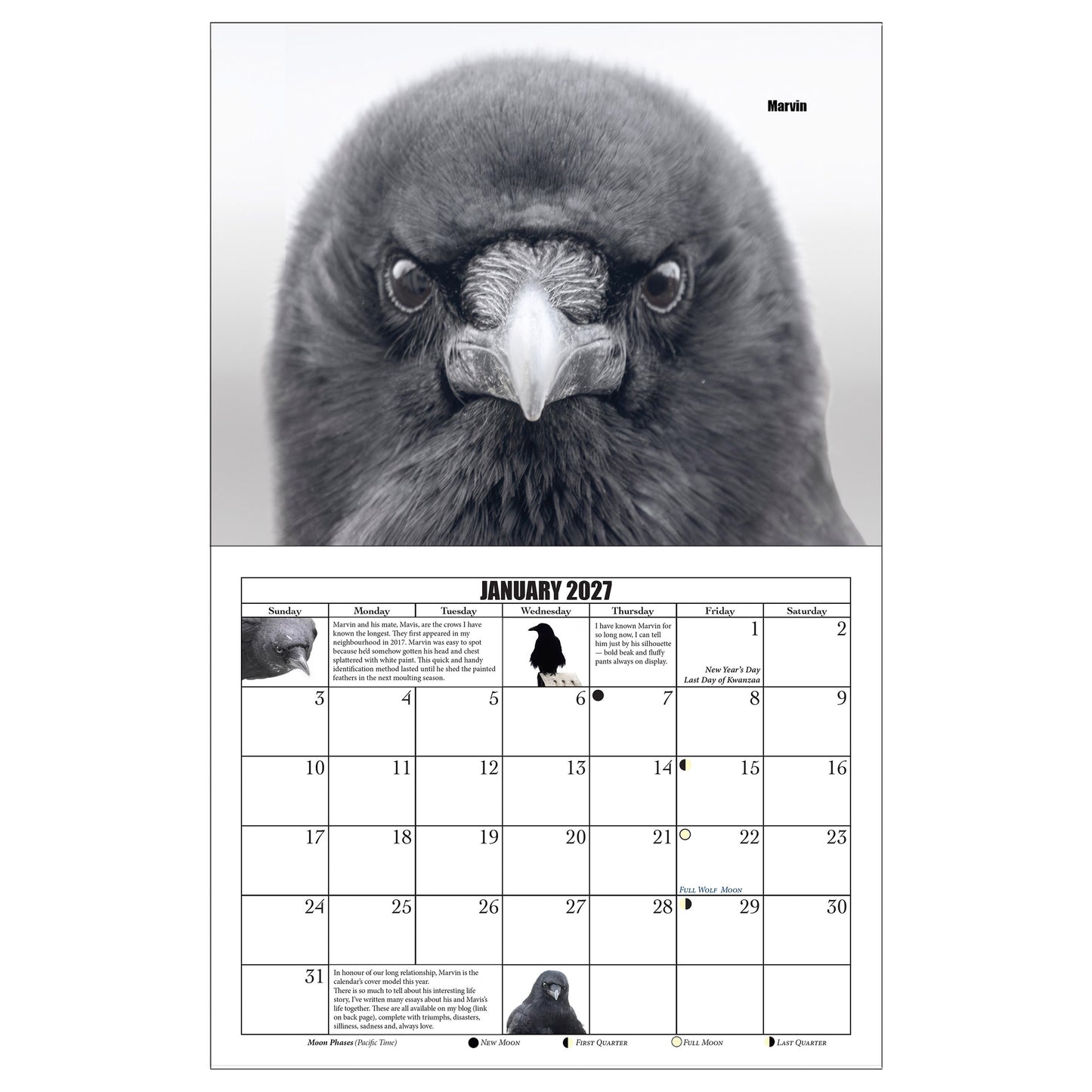 CROW CHARACTERS - Calendar and Postcard Bundle
