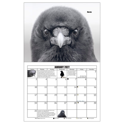 CROW CHARACTERS - Calendar and Postcard Bundle