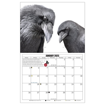 City Crow Calendar