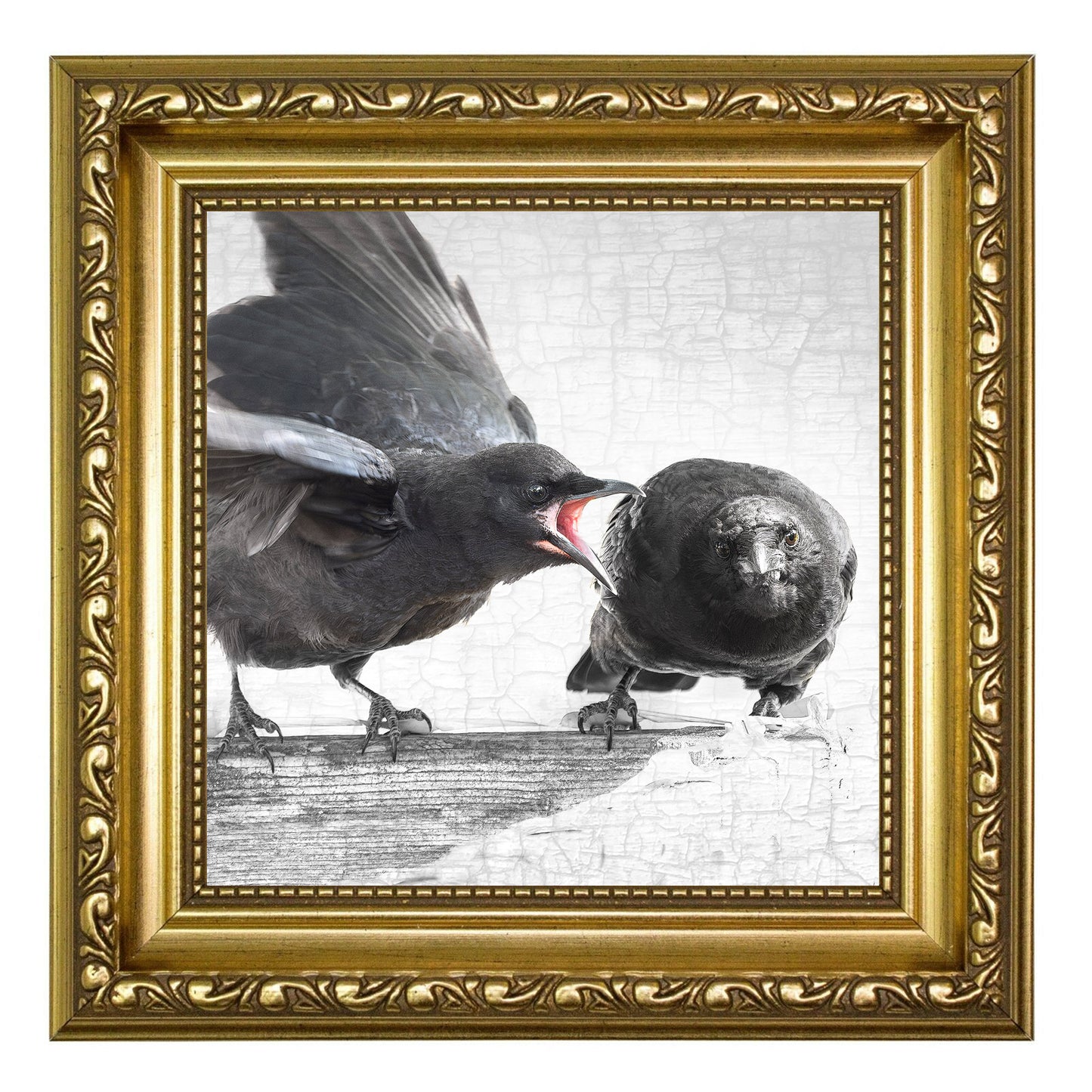 THE JOYS OF PARENTING - Fine Art Print, Crow Portrait Series