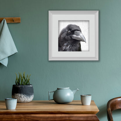 JUBILEE THE TOWER RAVEN - Fine Art Print, Raven Portrait Series