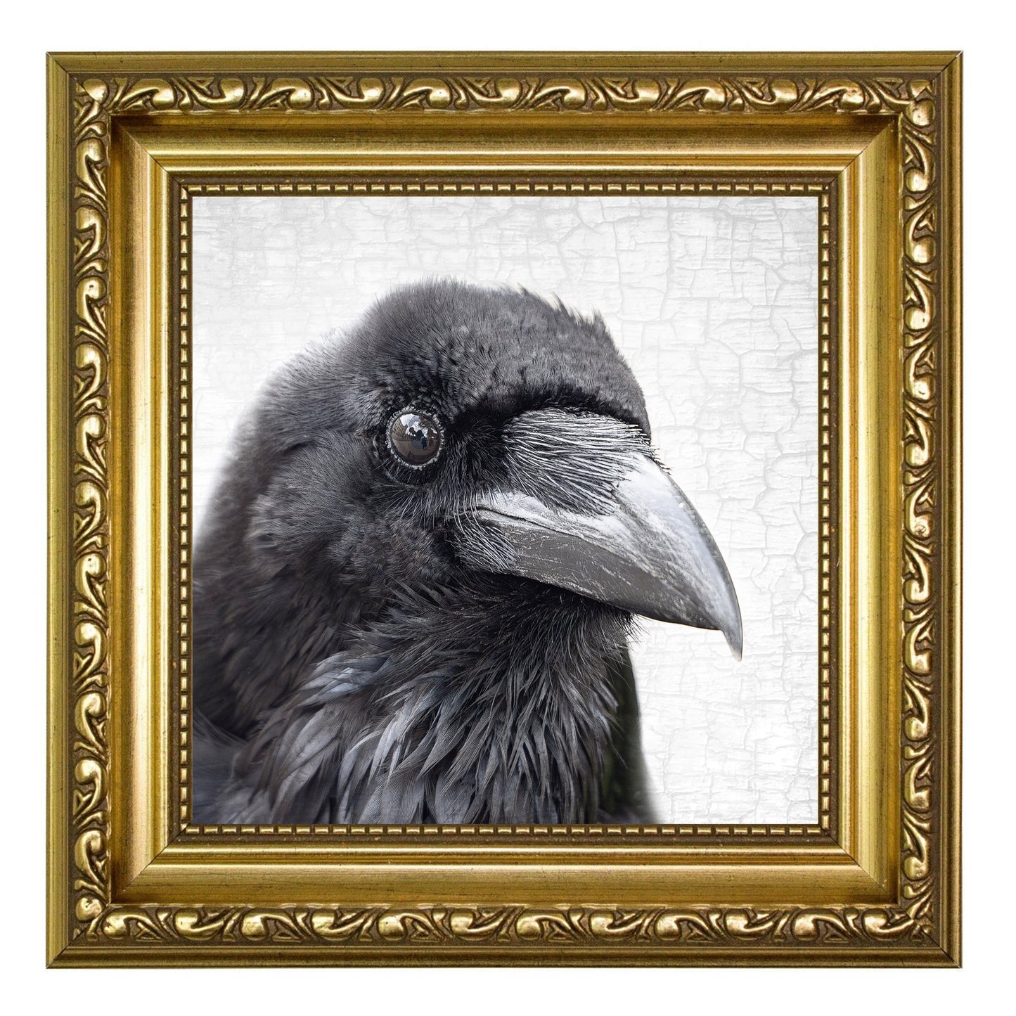 JUBILEE THE TOWER RAVEN - Fine Art Print, Raven Portrait Series