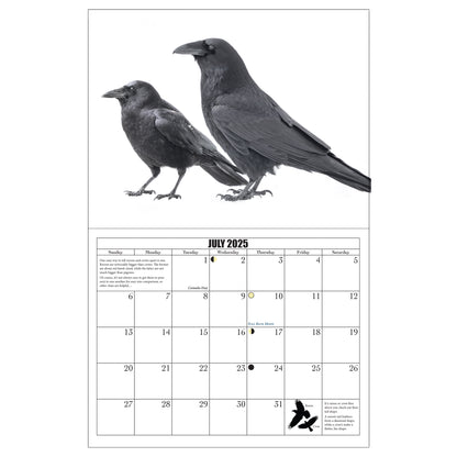 City Crow Calendar