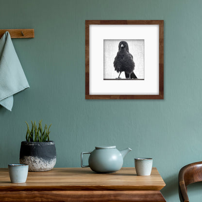 MARVIN THE FIERCE - Fine Art Print, Crow Portrait Series