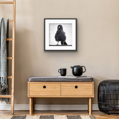 MARVIN THE FIERCE - Fine Art Print, Crow Portrait Series