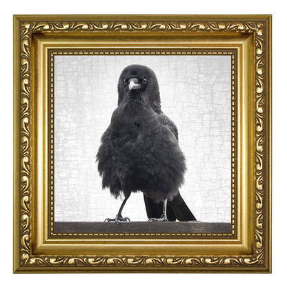 MARVIN THE FIERCE - Fine Art Print, Crow Portrait Series