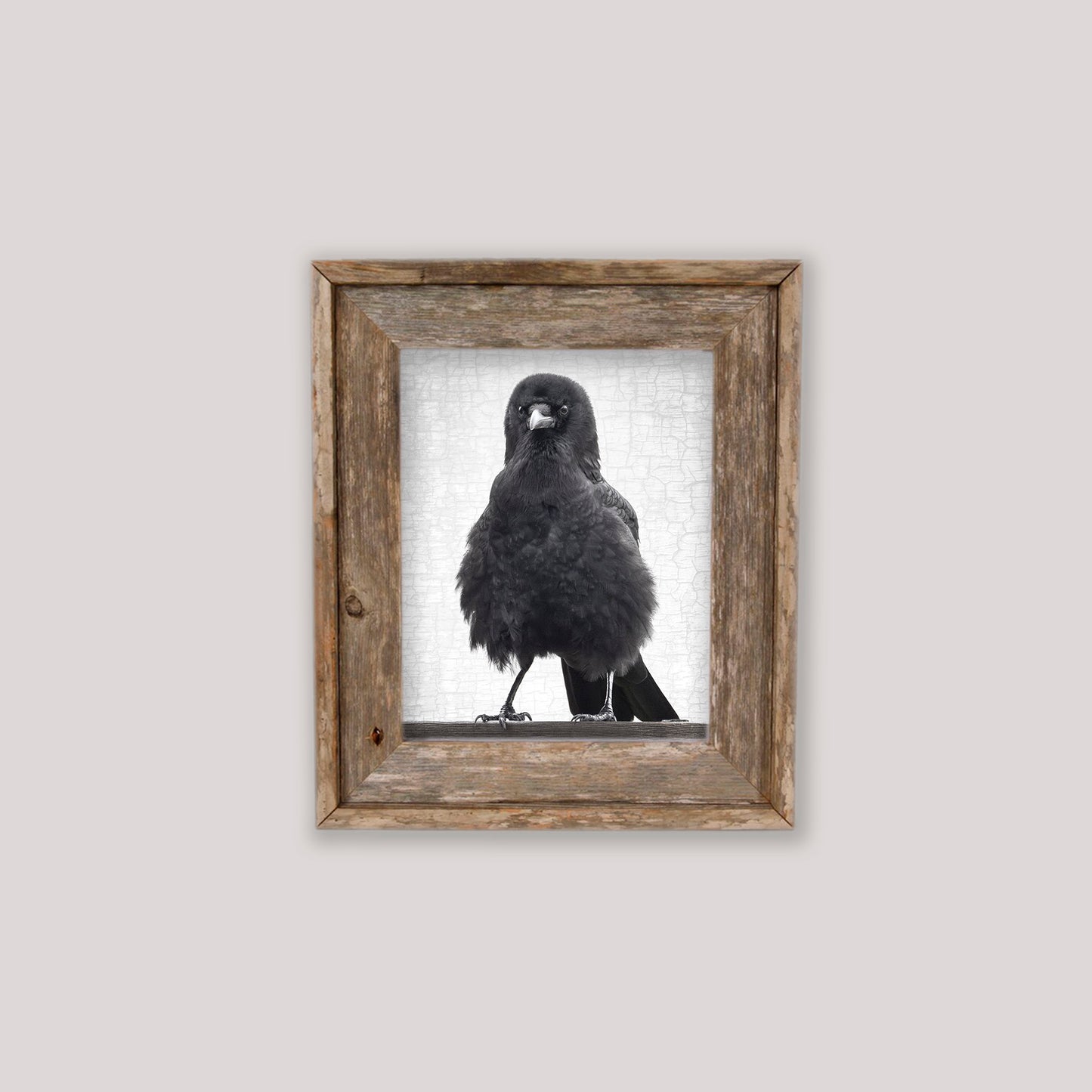 MARVIN THE FIERCE - Fine Art Print, Crow Portrait Series