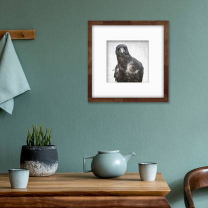 NEIL YOUNG CROW - Fine Art Print, Crow Portrait Series