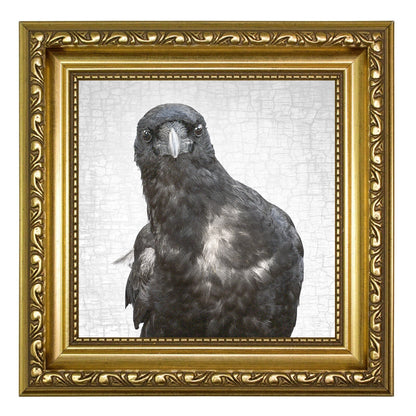 NEIL YOUNG CROW - Fine Art Print, Crow Portrait Series